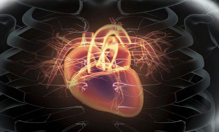 Stenosi aortica bicuspide e sostituzione della valvola transcatetere: buoni risultati con i nuovi dispositivi