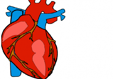 Arresto cardiaco: la tecnica mininvasiva