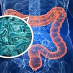 Diabete di tipo 2: nuove opzioni di prevenzione e trattamento dal microbiota intestinale