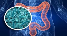 Diabete di tipo 2: nuove opzioni di prevenzione e trattamento dal microbiota intestinale