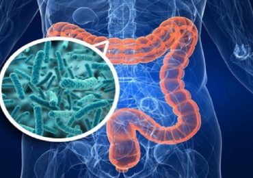Diabete di tipo 2: nuove opzioni di prevenzione e trattamento dal microbiota intestinale