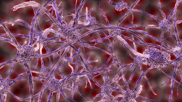 Dolore neuropatico trigeminale nella SM: identificati bersagli cellulari per nuove strategie terapeutiche