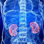 Malattia renale diabetica: ok della Commissione Europea all'estensione dell'indicazione di Canagliflozin