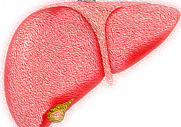 Tumore al fegato, il trapianto è la cura più efficace anche in stadio avanzato