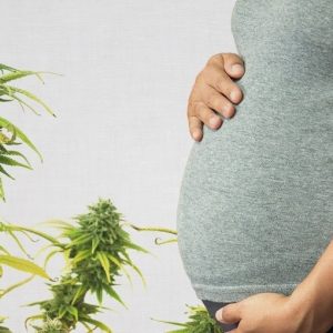 Autismo, uso di cannabis in gravidanza accresce i rischi per il bambino