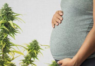 Autismo, uso di cannabis in gravidanza accresce i rischi per il bambino