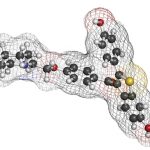 SARS-COV2 e raloxifene: eccellenti risultati!