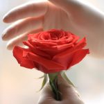 Basta violenza ai danni degli operatori sanitari