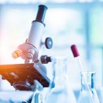 Cellule staminali con "superpoteri" scoperte negli embrioni umani