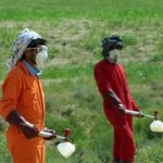 Cina, bimbo contrae la peste bubbonica: scatta lo stato di emergenza