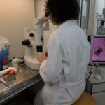 Covid-19: ignoti vandalizzano il laboratorio dell’Asl che analizza i tamponi