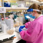 Covid-19, il virus usa l'eparan solfato per infettare le cellule umane