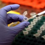 Hiv, indagine "multiomica" svela le caratteristiche delle cellule infettate in vivo