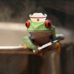 L'infermiere e la rana bollita. Discorso Roma 15 ottobre.