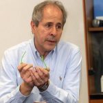 Coronavirus, Crisanti: "Lockdown a Natale è nell'ordine delle cose"