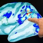 Coronavirus: i misteriosi effetti neuroloigici