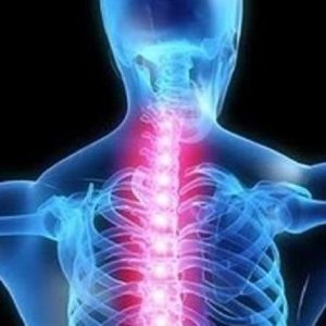 Lesioni spinali, le staminali del midollo possono indurre la riparazione