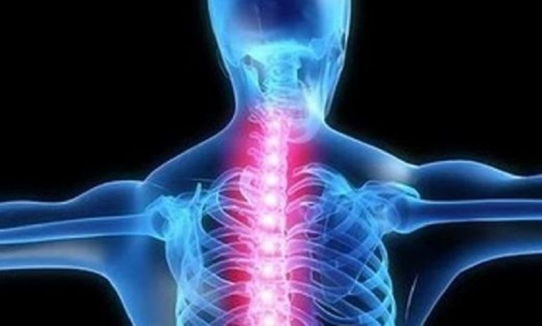 Lesioni spinali, le staminali del midollo possono indurre la riparazione