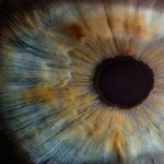 Patologie oculari: passi avanti grazie alla prima retina artificiale liquida