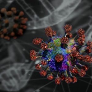 Coronavirus, le mutazioni non aumentano la trasmissibilità