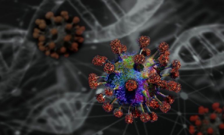 Coronavirus, le mutazioni non aumentano la trasmissibilità