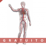 Corso Fad Ecm gratuito “Patologie cardiovascolari innovazione in medicina e chirurgia”