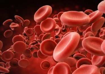 Globuli rossi: nuovo metodo per la produzione in laboratorio