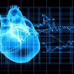 Infarto, un cerotto per limitare lo stiramento cardiaco