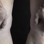 Invecchiamento muscolare, glutammina influisce su rigenerazione e inibizione di metastasi tumorali