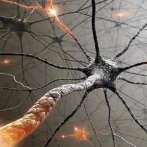 Malattie del sistema nervoso centrale: nuovo studio sull'uso dei biomarcatori