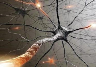 Malattie del sistema nervoso centrale: nuovo studio sull'uso dei biomarcatori