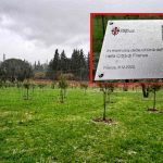 Firenze: nasce un bosco dedicato alle vittime del Covid-19