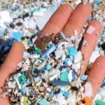 Inquinamento, studio rileva presenza di microplastiche nella placenta umana