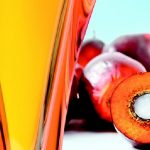 Olio di palma, è davvero dannoso per la salute?