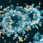 L’evoluzione degli anticorpi al SARS-CoV-2 e il ruolo delle cellule-memoria
