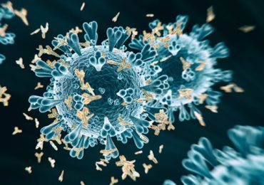 L’evoluzione degli anticorpi al SARS-CoV-2 e il ruolo delle cellule-memoria