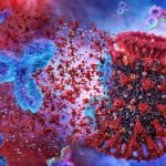Coronavirus e farmaci anticorpali: Eli Lilly, Vir e GSK uniscono le forze