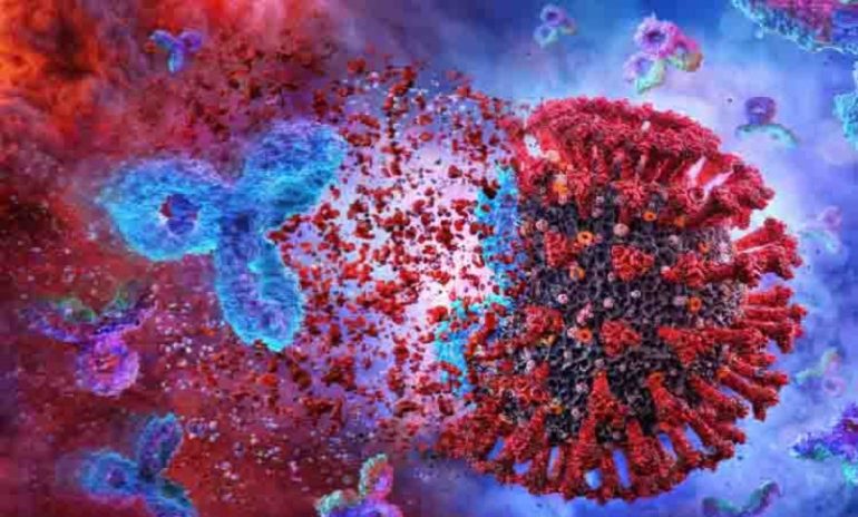 Coronavirus e farmaci anticorpali: Eli Lilly, Vir e GSK uniscono le forze