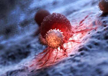Coronavirus, quanto dura l'immunità dopo l'infezione? Può dipendere dalle cellule T