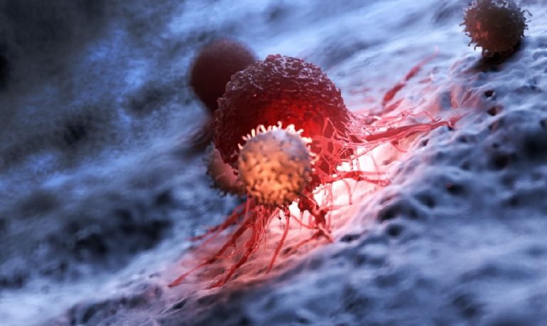 Coronavirus, quanto dura l'immunità dopo l'infezione? Può dipendere dalle cellule T