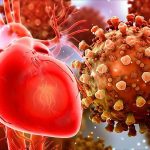 COVID-19 e conseguenze cardiologiche. Gli studi di JAMA Cardiology e  Frontiers in Physiology