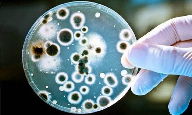 Creata nuova classe di anibiotici che combatte i batteri resistenti