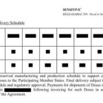 Dopo il taglio alle dosi AstraZeneca pubblica il contratto, ma molti 'omissis'
