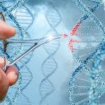 Immunodeficienza con iper-IgM legata al cromosoma X: editing genetico al servizio della terapia