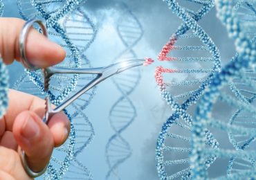 Immunodeficienza con iper-IgM legata al cromosoma X: editing genetico al servizio della terapia