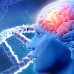 Malattie neurodegenerative incurabili: protocollo innovativo per la scoperta di nuovi farmaci