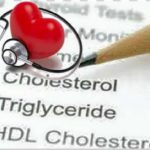 Menopausa, alti livelli di colesterolo HDL possono non essere cardioprotettivi