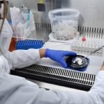 Coronavirus, Iss pubblica relazione tecnica della prima indagine sulla variante inglese