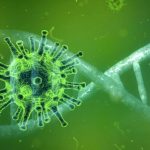 Coronavirus, nuovo software per l’analisi genomica identifica rapidamente i ceppi emergenti