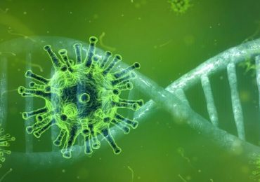 Coronavirus, nuovo software per l’analisi genomica identifica rapidamente i ceppi emergenti
